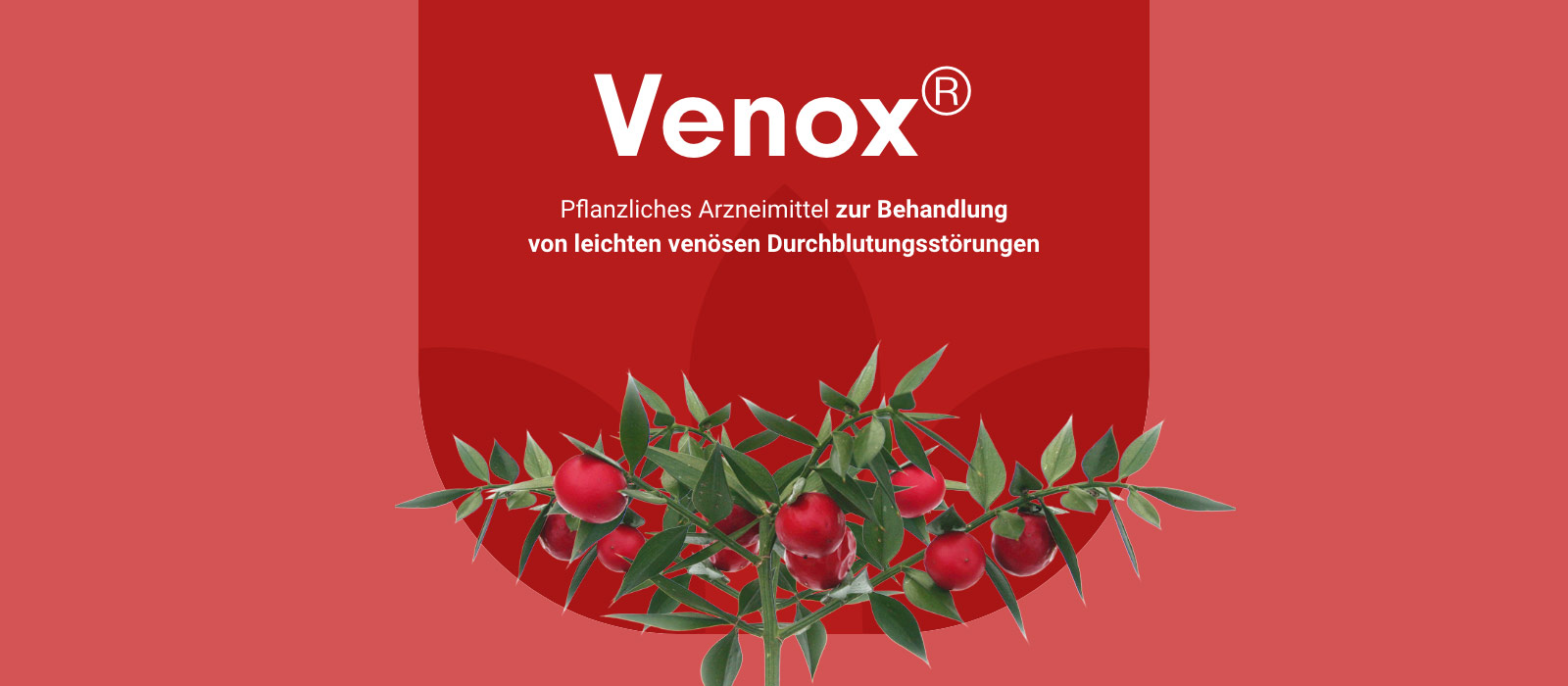 Venox® - Pflanzliches Arzneimittel zur Behandlung von leichten venösen Durchblutungsstörungen